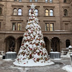 Meet your Posher, Jon